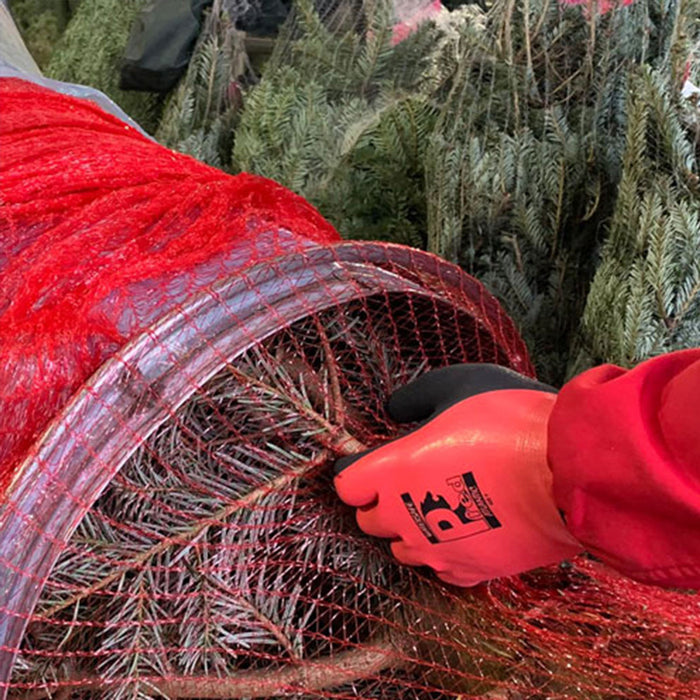 Predator WS1 Watersafe Atlantic Gloves