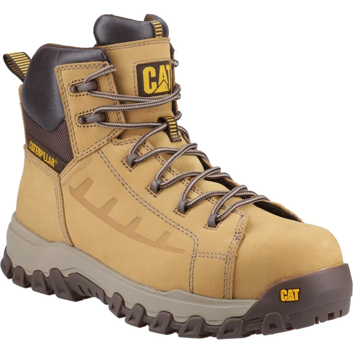 Cat Threshold Safety S7S Honey