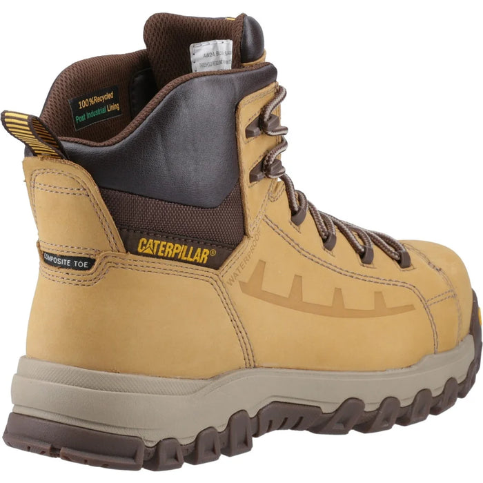 Cat Threshold Safety S7S Honey