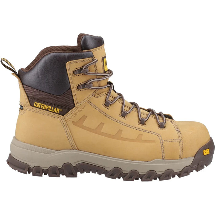 Cat Threshold Safety S7S Honey